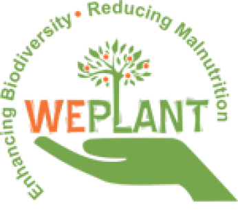 we plant